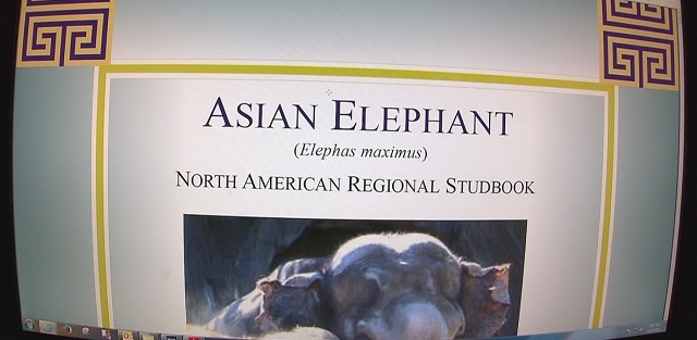 A screen grab of the North American Regional Stud Book, April 30, 2015 (KOIN 6 News)