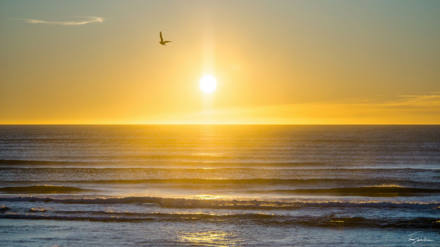 Cannon Beach Sunset_169646