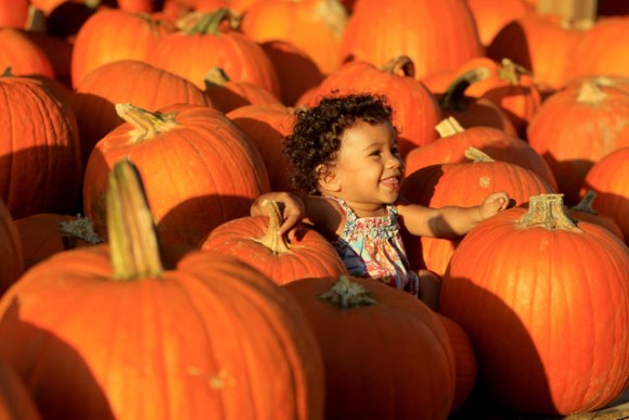 181601-st.-petersburg-fla-8d26b_217982