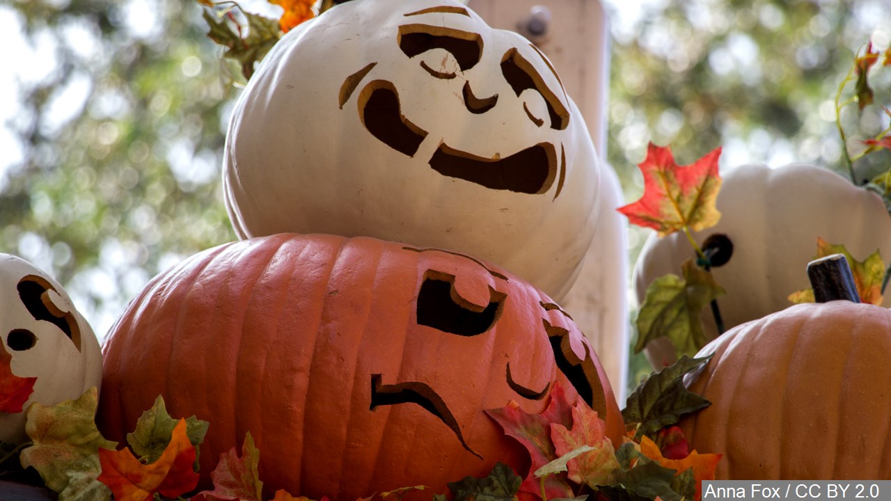 Halloween pumpkins. (MGN Online)_223120