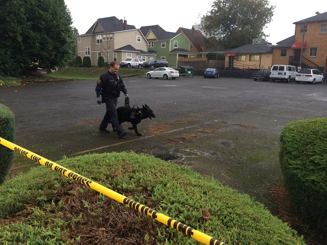 Portland police look for suspects in a shooting, Nov. 11, 2015 (KOIN)