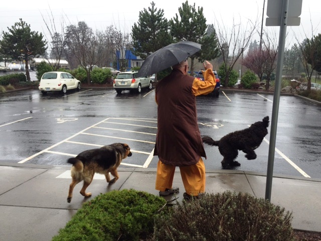 Buddhist Monk Kozen Sampson and his dogs in Hood River, March 9, 2016 (KOIN)