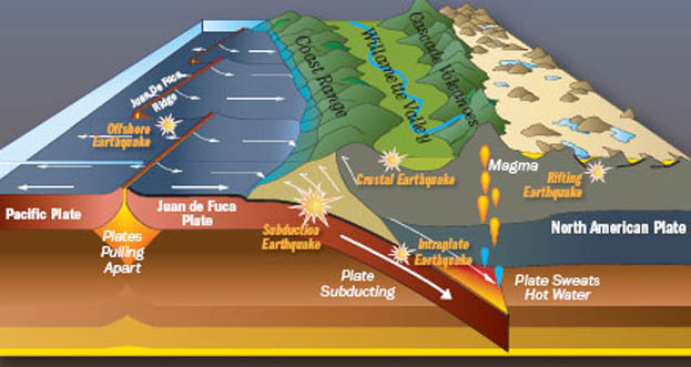 A diagram of the Cascadia Subduction Zone provided by the Oregon Historical Society.