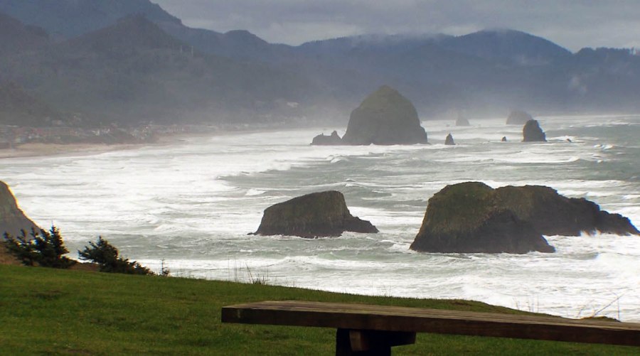 whale watching cannon beach 2_249393