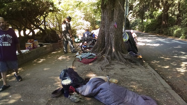 A homeless camp in Laurelhurst Park in Southeast Portland, August 12, 2016 (KOIN)