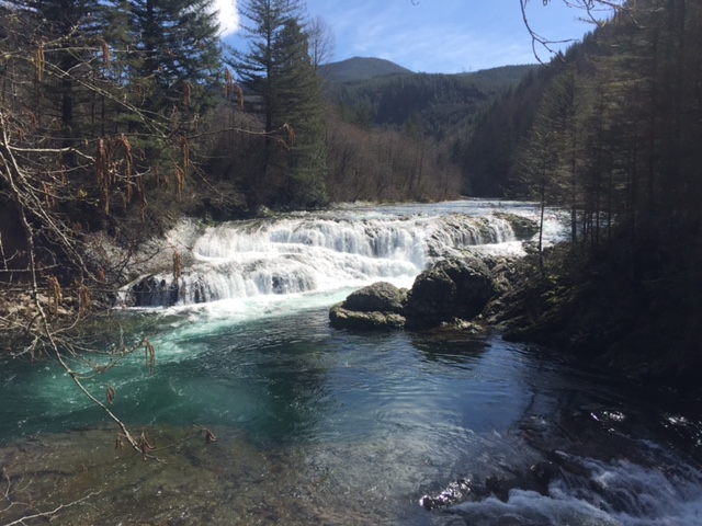 A view from Dougan Falls Bridge in Skamania County, April 3, 2017 (KOIN)