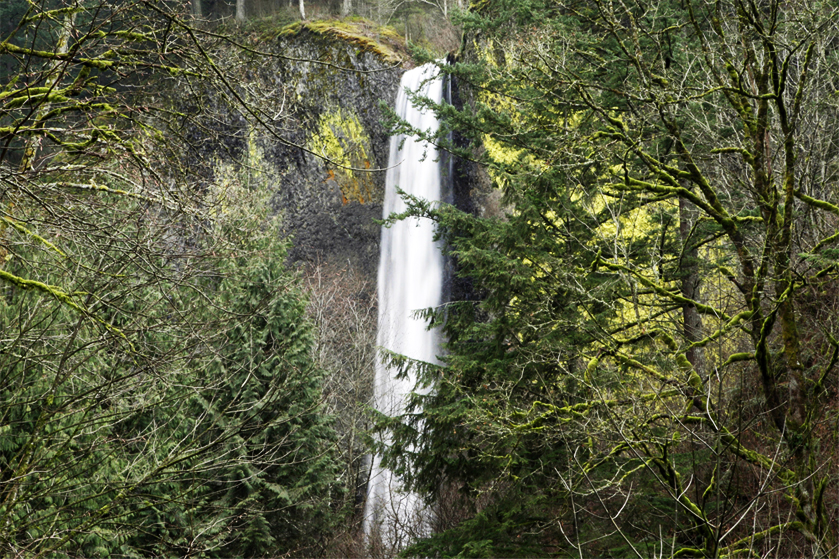 Historic Columbia River Highway_482189