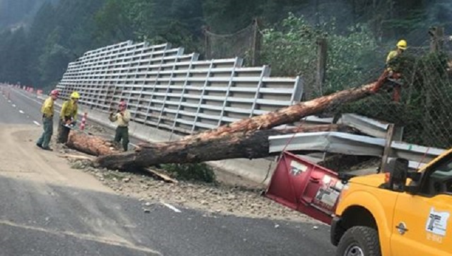 eagle creek fire debris clean up a 09182017_521017