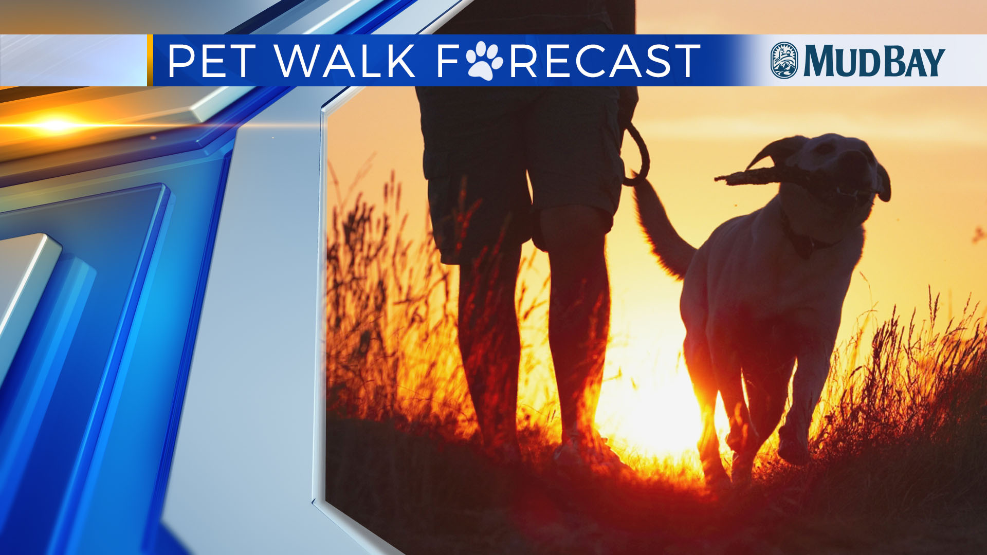 Pet Walk Forecast - Mudbay - dry4_1528911771855.jpg.jpg