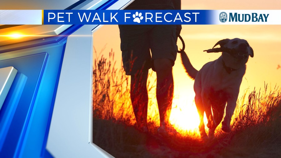Pet Walk Forecast - Mudbay - dry4_1528911771855.jpg.jpg