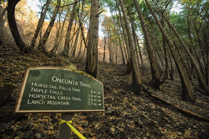 The popular and heavily used Oneonta Trail was heavily damaged by the Eagle Creek Fire and is one of many Gorge spots that will remain closed p_532460