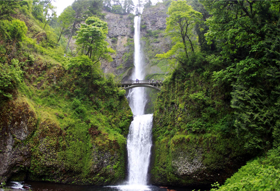Multnomah Falls Tourism_442063