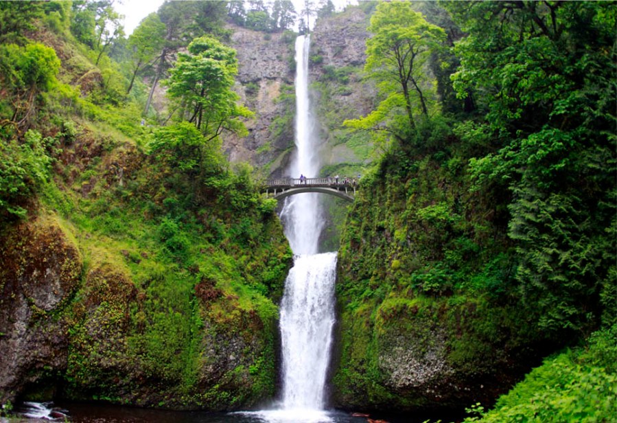 Multnomah Falls Tourism_442063