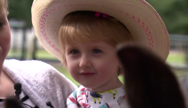 penelope wish horse aumsville 03102018 (1)_1520730670906.jpg.jpg