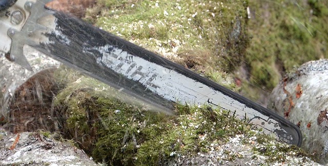 generic tree saw 08312015_198704