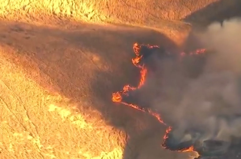 Substation Fire line, July 19 2018. (KOIN)