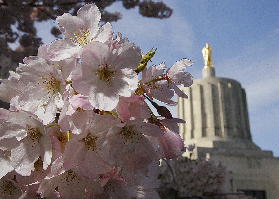 CAPITOL BLOSSOMS_1537846639032