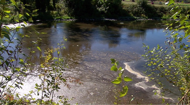 columbia slough mud_1537995385439.jpg.jpg