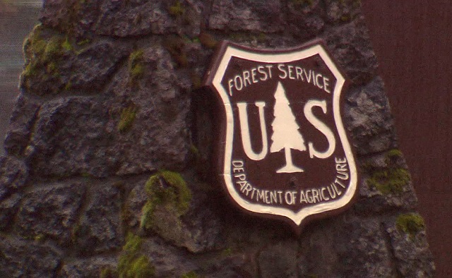 generic USFS sign forest service