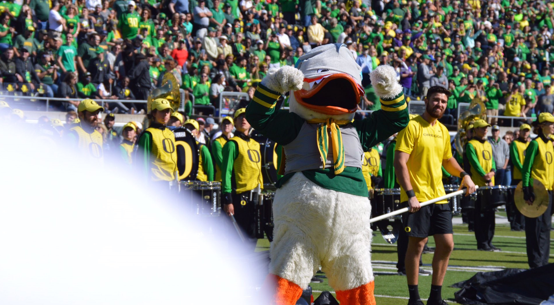 oregon ducks football mascot