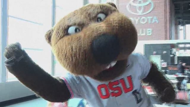 osu beavers mascot 05272019_1558984391609.jpg.jpg