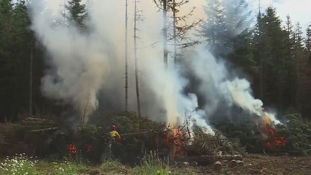 A wildfire in Oregon (KOIN, file)