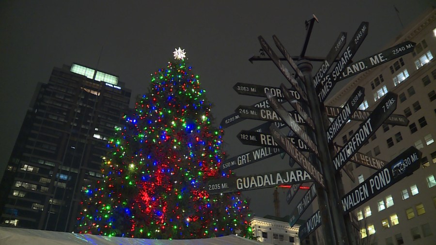 Pioneer Courthouse Square tree