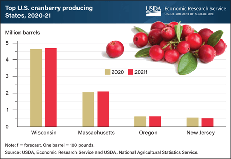 Top U.S. cranberry producing states, USDA