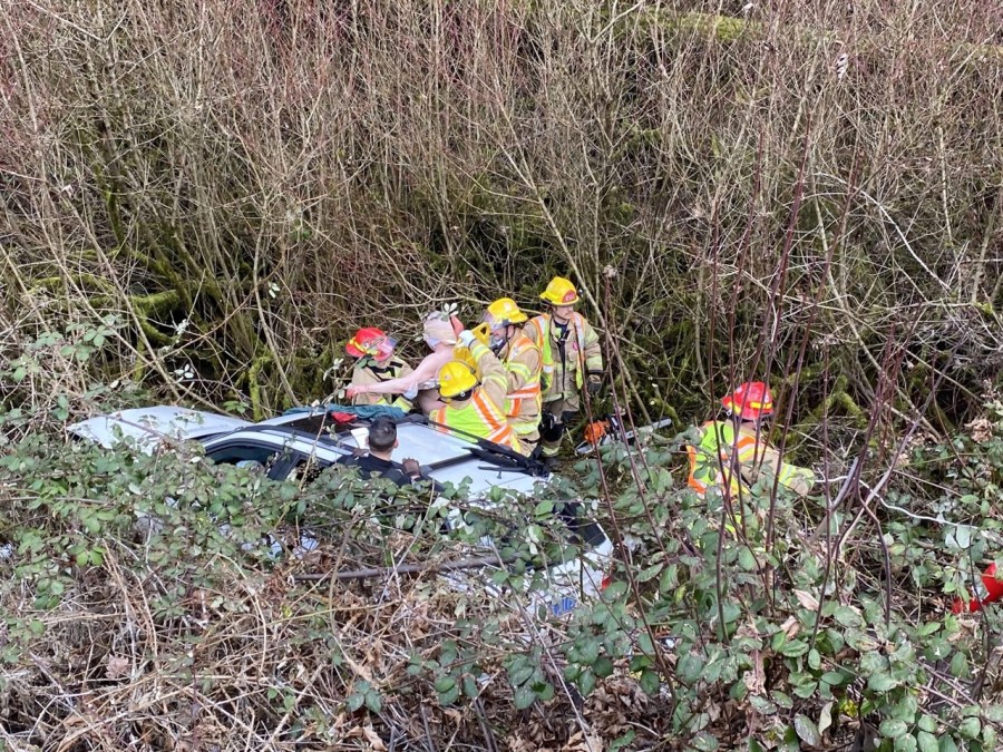 Driver saved after car drops 25 feet down gully march 10 2022