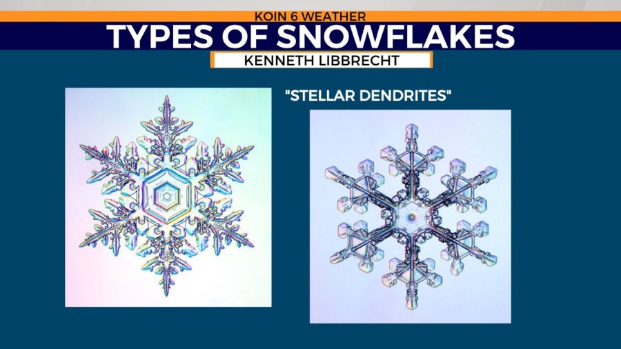 snowpack snowflakes