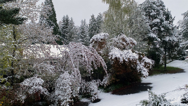 Portland sets record for April snowfall