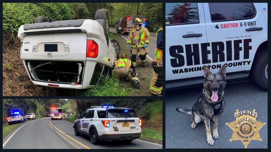 Man arrested after DUII crash, tracked by Washington County K9