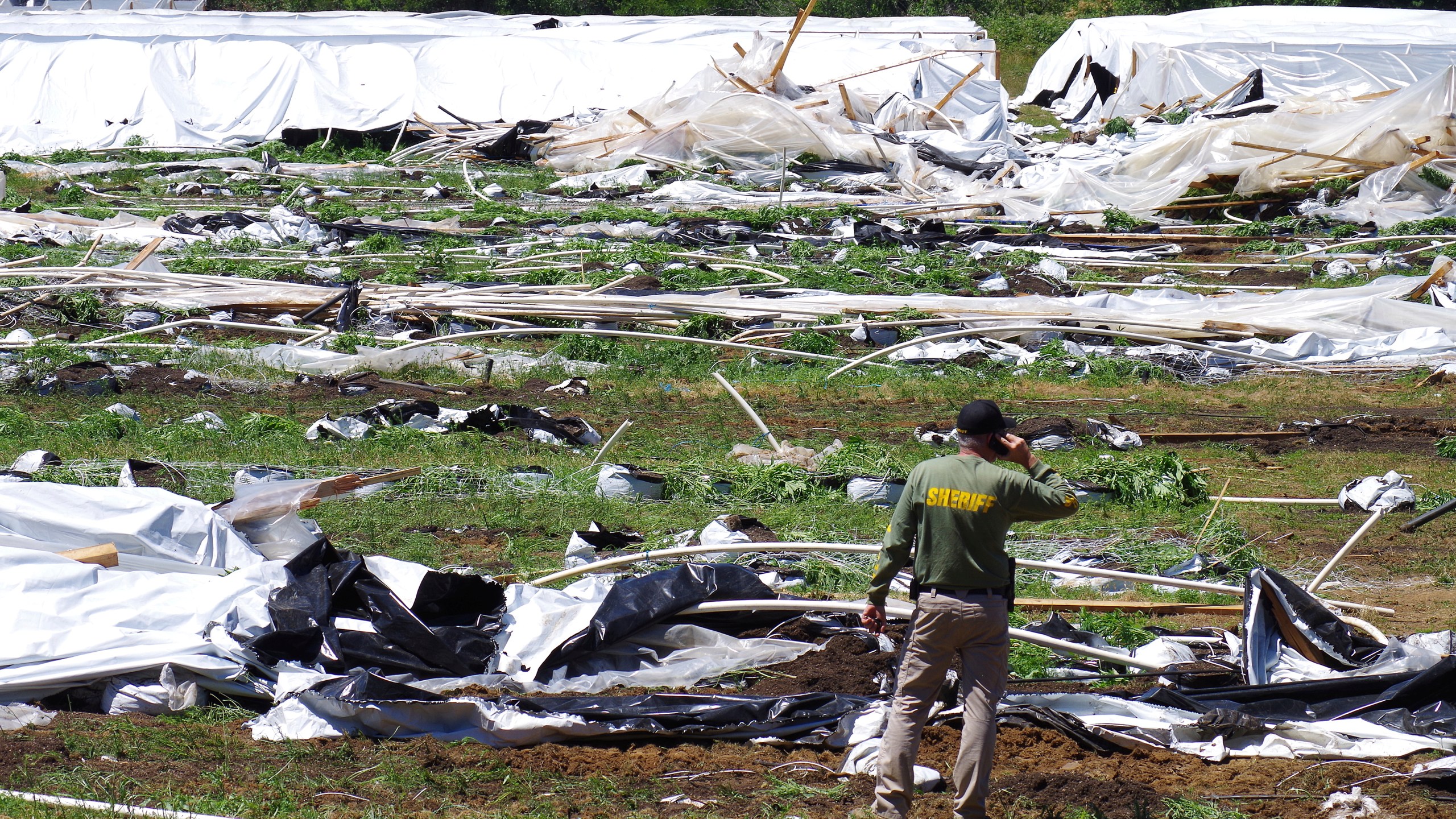 Law enforcement officials in Oregon say foreign drug cartels that established illegal outdoor marijuana farms last year are adapting as pressure on them begins to mount.