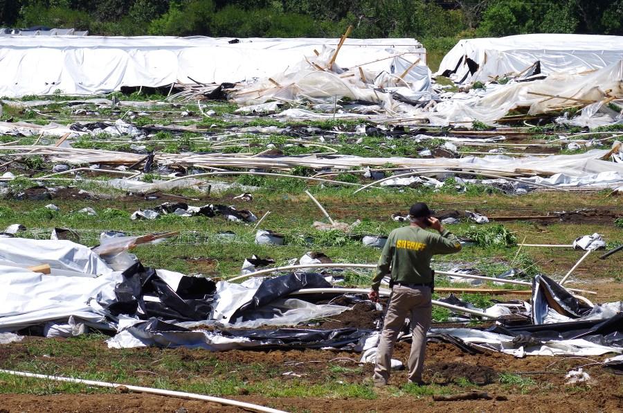 Law enforcement officials in Oregon say foreign drug cartels that established illegal outdoor marijuana farms last year are adapting as pressure on them begins to mount.