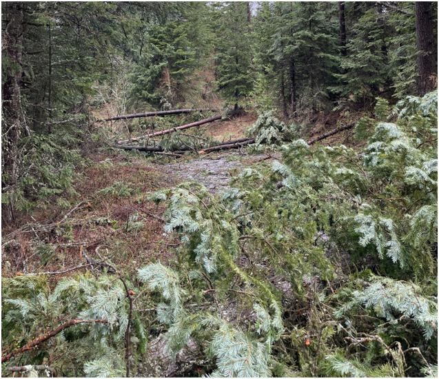 Two tornados in one day cause damage in Eastern Oregon