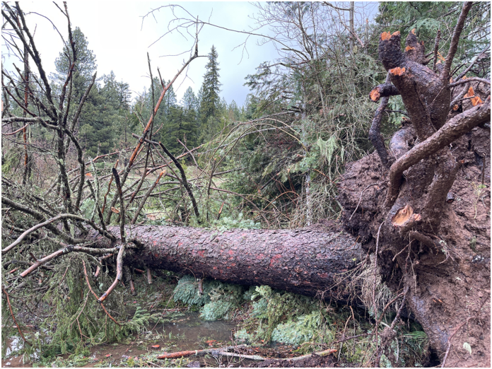 Two tornados in one day cause damage in Eastern Oregon