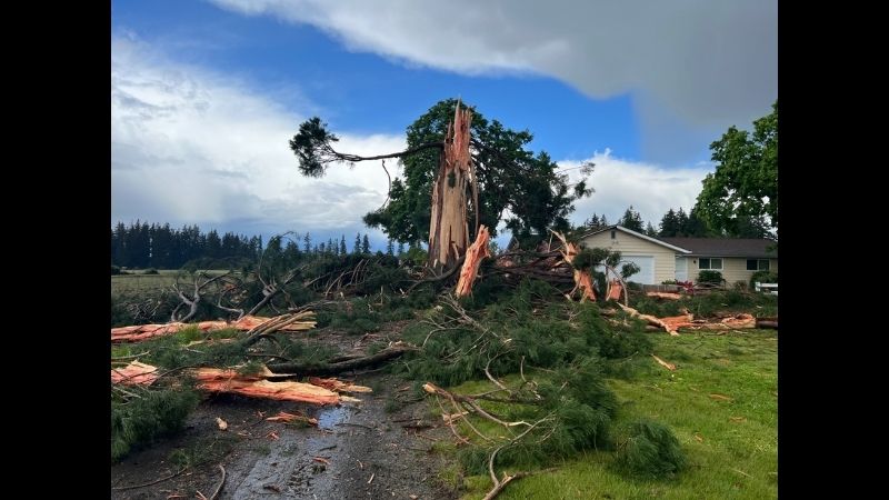 Deputies: Tree exploded after lightning strike in ClackCo.