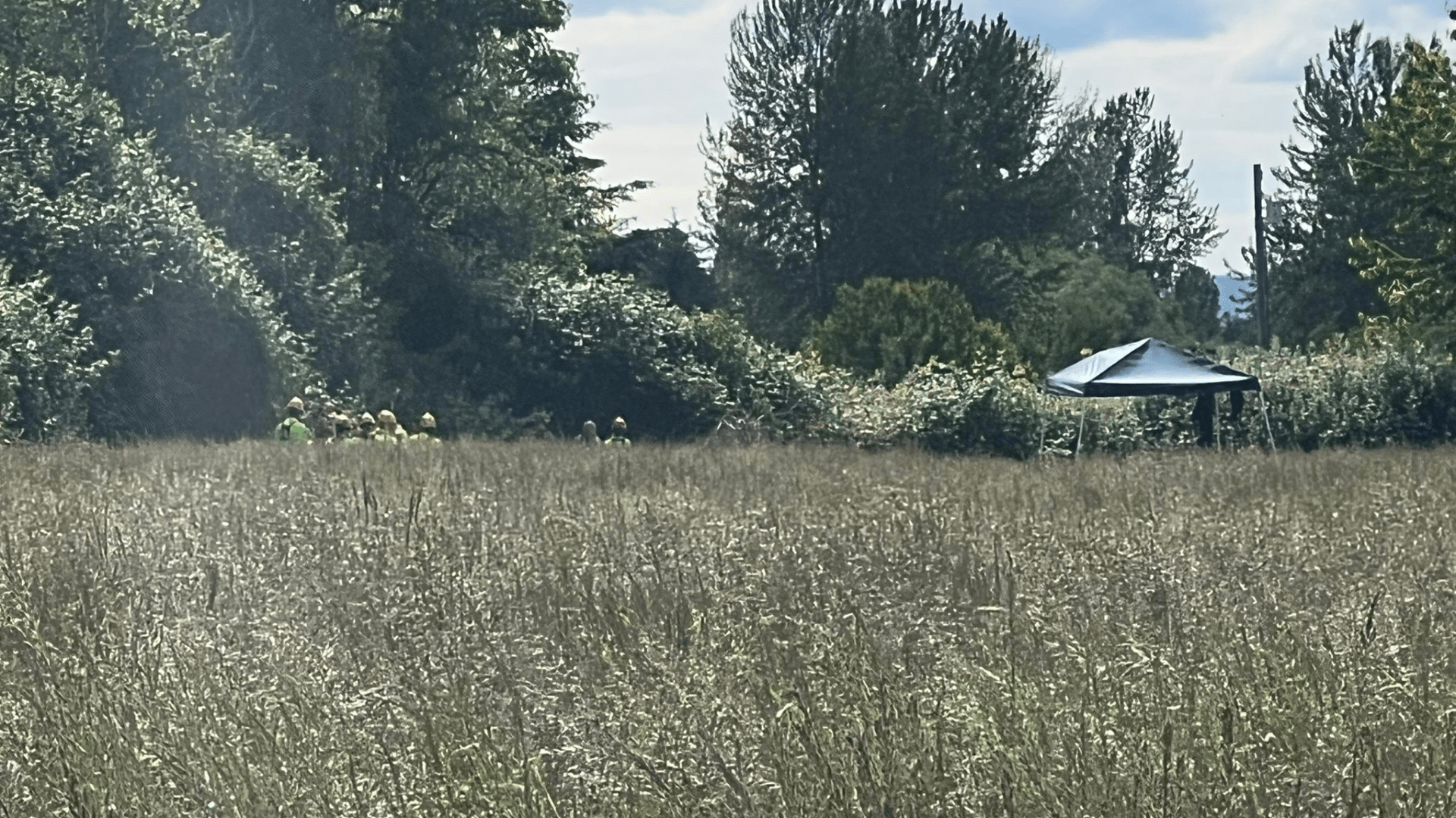 Hillsboro police investigate death after 'suspicious circumstances' in field