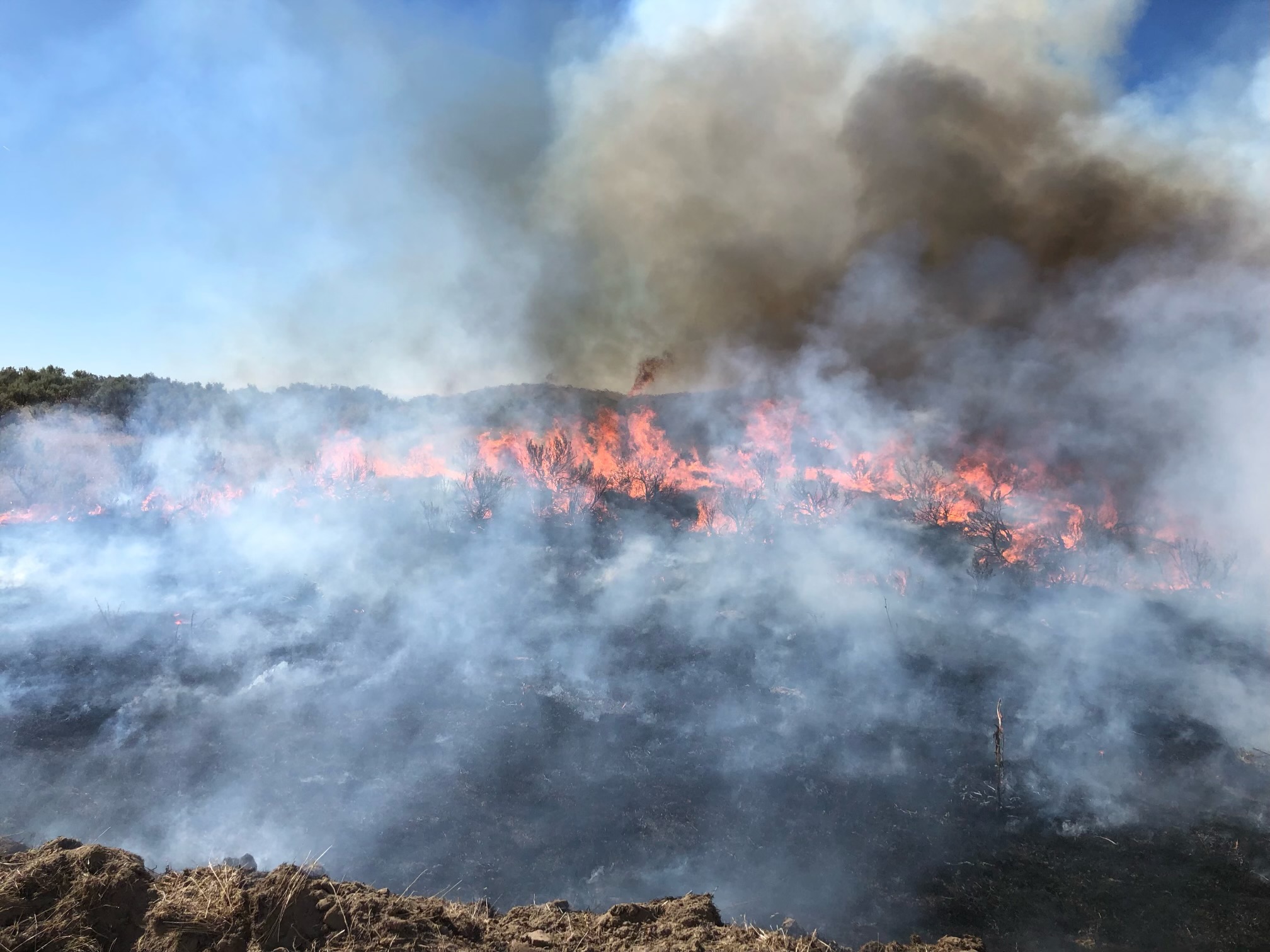 Willowcreek Fire