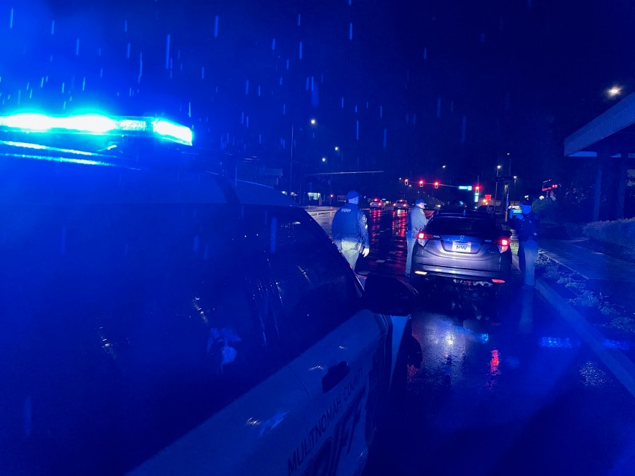 Dozens of vehicles were stopped, eight people were arrested, two stolen cars were found and one gun was seized in a single night in Multnomah County Sunday, officials said.