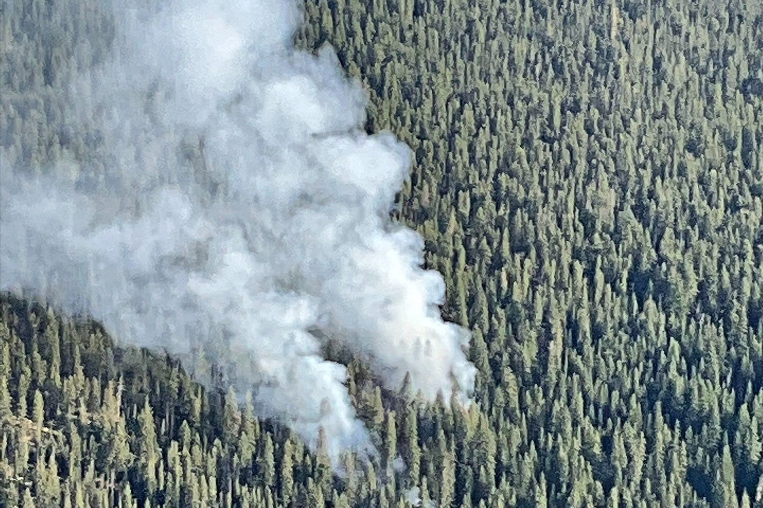 Wildfire spreading through Deschutes National Forest in Bend