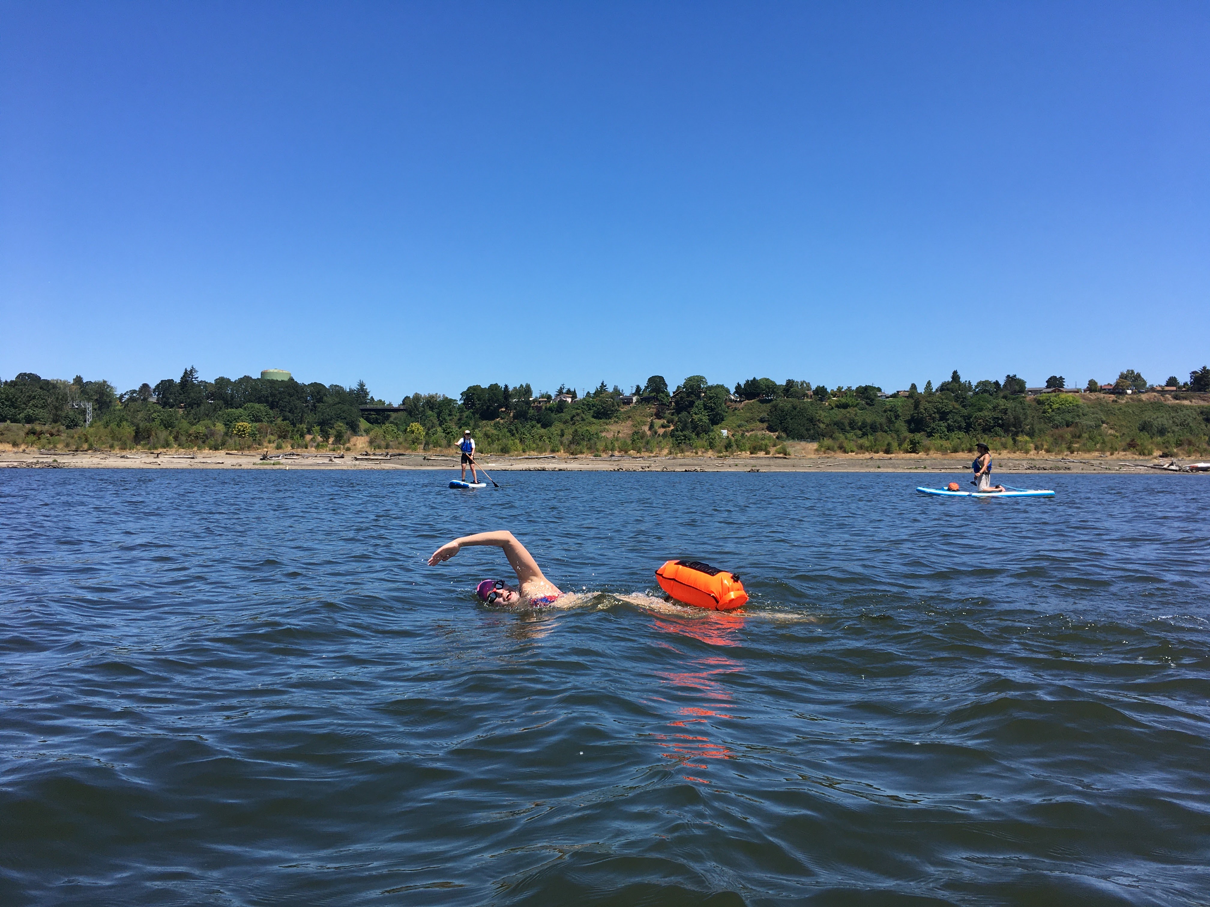 Portland, OR woman to swim on the Willamette River for 24.6 miles