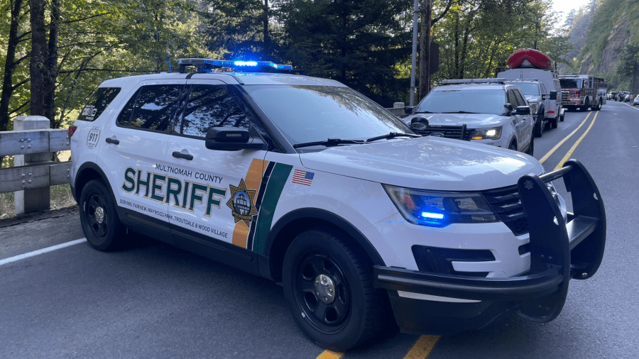 MCSO: Swimmer dies after water rescue near Dabney State Park