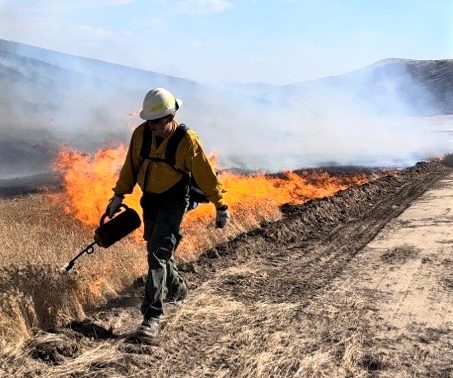 Willowcreek Fire