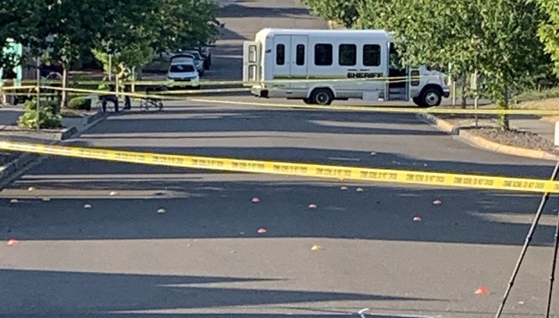 Evidence markers litter the 100 block of SW Mt. Mazama Street in McMinnville after a man held police at bay for 3 hours, July 30, 2022 (Yamhill County Sheriff's Office)