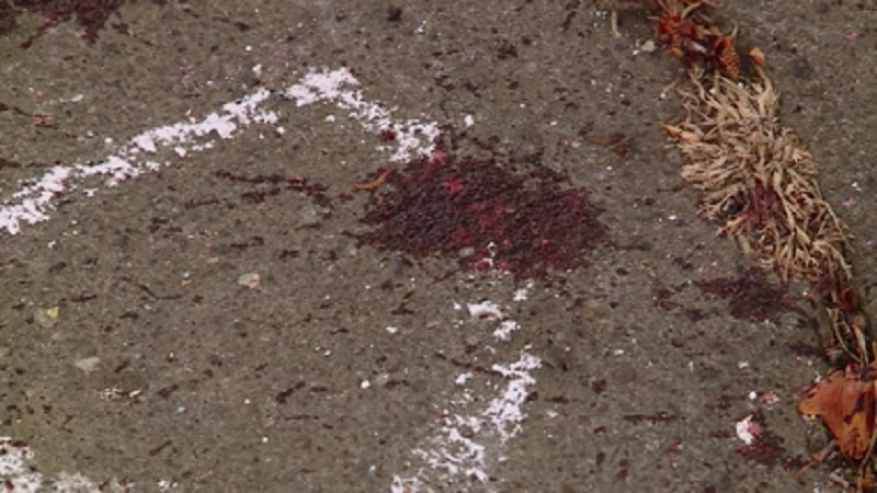 Blood stains on a sidewalk outside a house at NE 22nd and Couch in Portland from a man who entered that house and was shot, July 23, 2022 (KOIN)