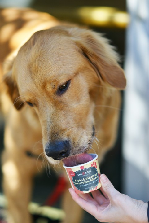 Salt & Straw launches Pup Cup