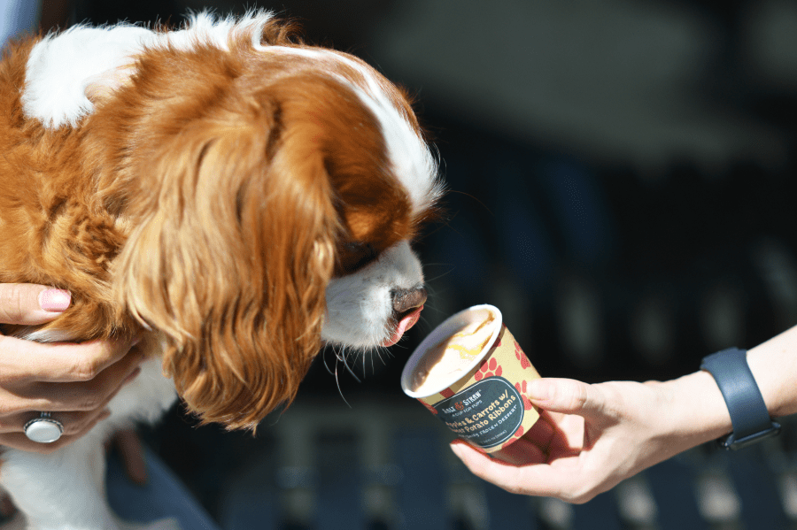 Salt & Straw launches Pup Cup