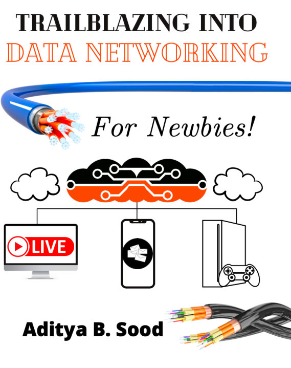 Cover of "Trailblazing into Data Networking: For Newbies!"