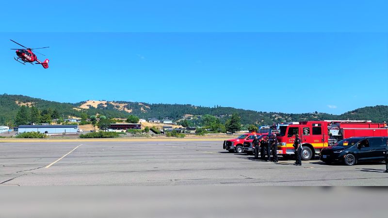 A wildland firefighter from Colorado died after being struck by a tree on Wednesday, Aug. 10, 2022